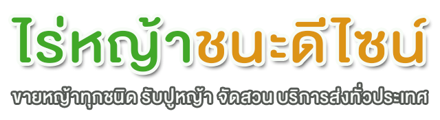 ขายหญ้าทุกชนิด รับปูสนามหญ้า รับจัดสวน ขายต้นไม้ ไม้ดอก ไม้ประดับ ไม้มงคล ไม้ทำรั้ว พร้อมบริการขนส่งพร้อมปลูก | ไร่หญ้าชนะดีไซน์